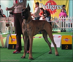 Open Class - I ex., CWC, BOS - LIMAHL Lanquesco