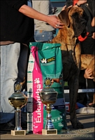 Champion Class - I ex., CAC, EuDDC Champion 2009 - LUCIUS de Cane Nobile